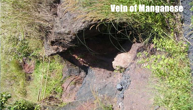 vein_mn